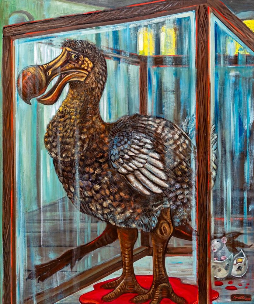 The Dodo Bird