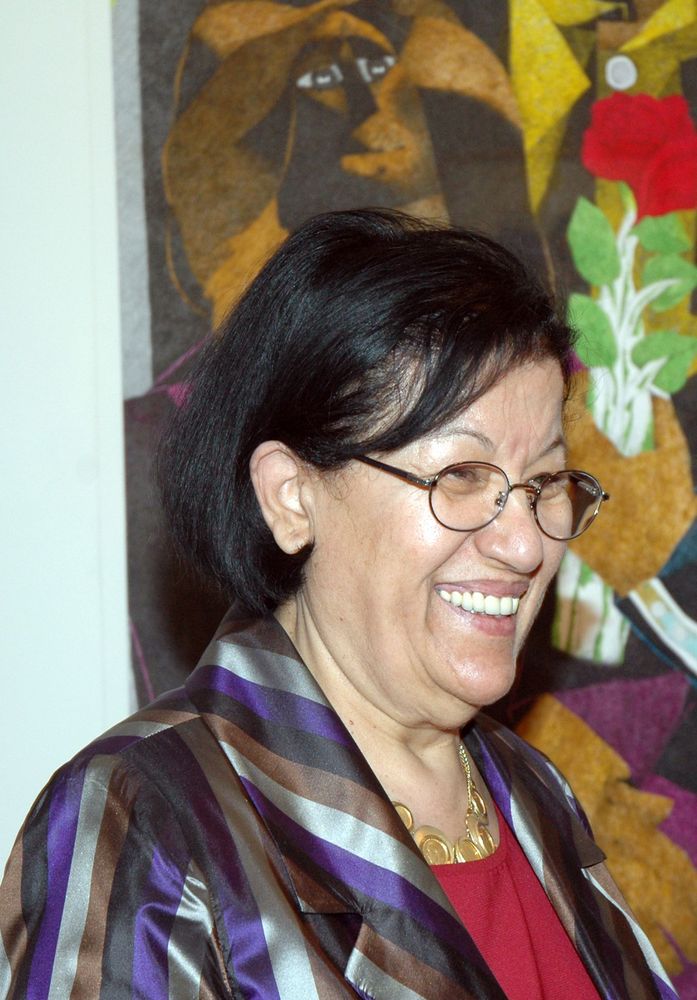 Rabab Nemr